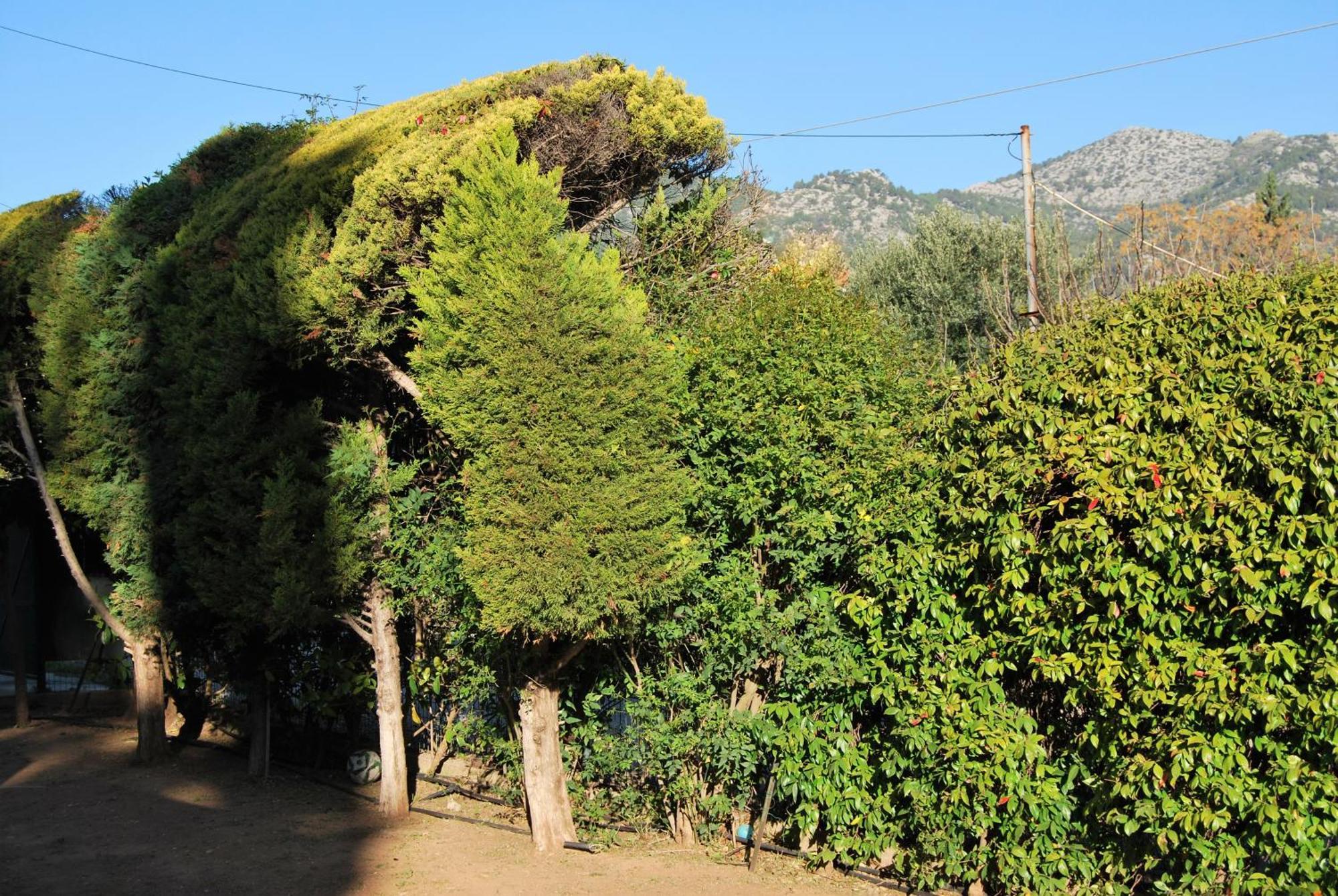 Villa Πολυτελής Εξοχική Κατοικία Néa Mákri Exterior foto